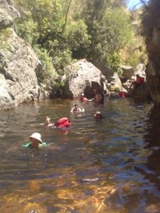 The first swim