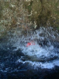 The jump