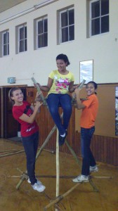 Sandpipers testing their mini tower